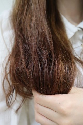 롱롱님이 올린 리뷰 사진 4