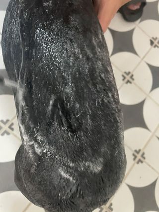 버츠비 퍼피투인원 티어리스 샴푸 앤 컨디셔너 — 5점을 준 리뷰어가 2021년 7월 올린 사용 사진