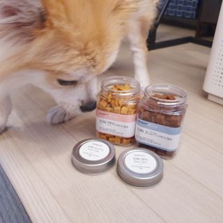 페페로니 진짜 오메가3 연어+소고기 180g+180g — 5점을 준 리뷰어가 2021년 7월 올린 사용 사진