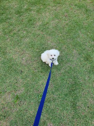 엘쏘둥님이 올린 리뷰 사진 1