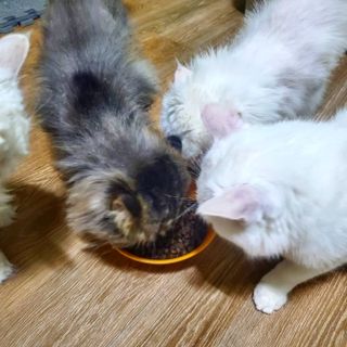 Isabelle Lee님이 올린 리뷰 사진 4
