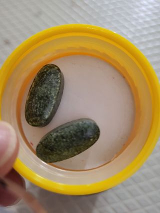 뾰로롱꼬마마녀님이 올린 리뷰 사진 3
