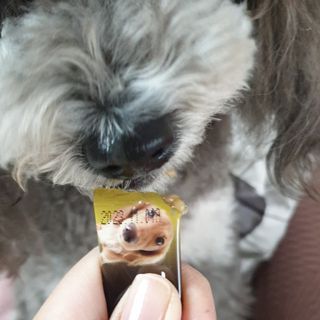 BlossomY님이 올린 리뷰 사진 3