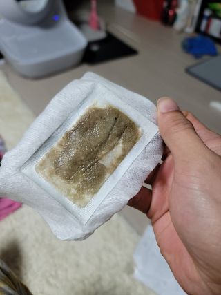 [레제르] 아로마 수액패치 발패치 30매입 -라벤더향/유칼립투스향/대나무향 — 5점을 준 리뷰어가 2022년 2월 올린 사용 사진