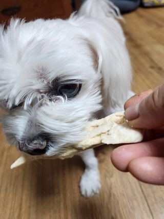 푸카푸카님이 올린 리뷰 사진 1