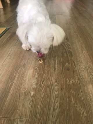 이아님이 올린 리뷰 사진 3