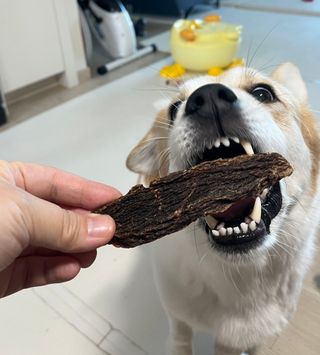 슬이님이 올린 리뷰 사진 1