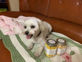 페페로니 진짜 프리바이오틱스 치즈+치즈고구마 180g+180g — 5점을 준 리뷰어가 2021년 7월 올린 사용 사진