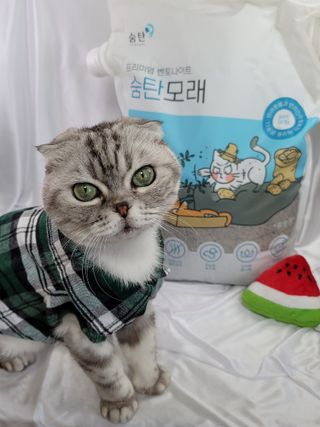 유햐님이 올린 리뷰 사진 1