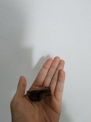 [졸리졸리]말 폐(HORSE LUNG) — 4점을 준 리뷰어가 2023년 2월 올린 사용 사진