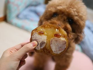 민쓰님이 올린 리뷰 사진 2