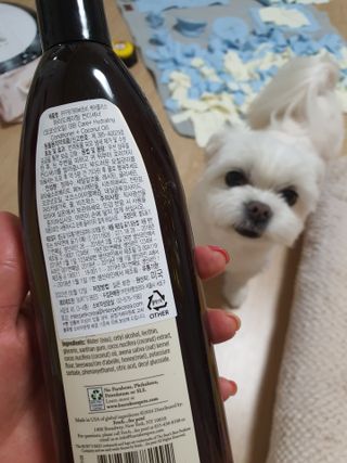 뽀오오옹님이 올린 리뷰 사진 2
