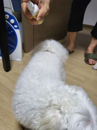 Zenithhappy님이 올린 리뷰 사진 3
