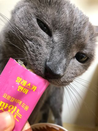냥냥이님이 올린 리뷰 사진 3