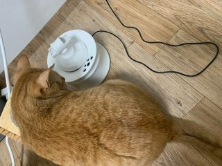 행복한쥐님님이 올린 리뷰 사진 3