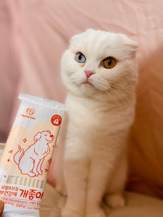 My Pet Care 모발과 모질 피부건강에 개좋아 — 5점을 준 리뷰어가 2021년 2월 올린 사용 사진