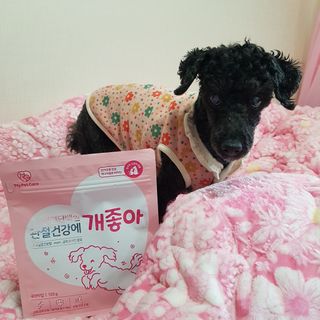 My Pet Care 천연단백질 관절건강에 개좋아 — 5점을 준 리뷰어가 2021년 1월 올린 사용 사진