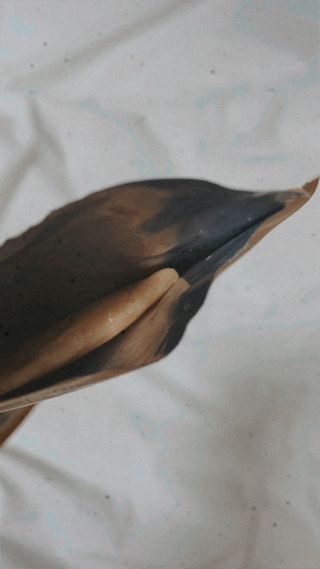 클로버님이 올린 리뷰 사진 2