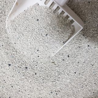 겟플렉스 켓플렉스 캣츠룸BS-1 고양이모래 4kg — 4점을 준 리뷰어가 2021년 1월 올린 사용 사진