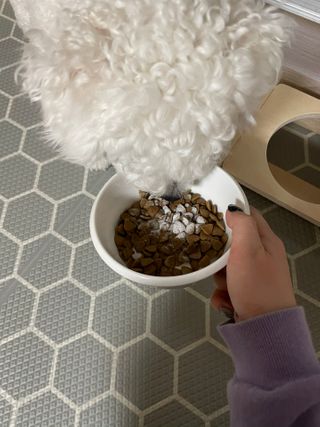 율아님이 올린 리뷰 사진 3