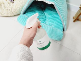 달콤오기님이 올린 리뷰 사진 3