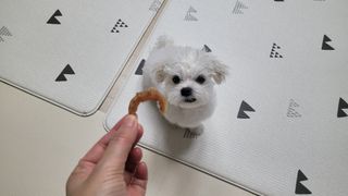 쏘이님이 올린 리뷰 사진 1