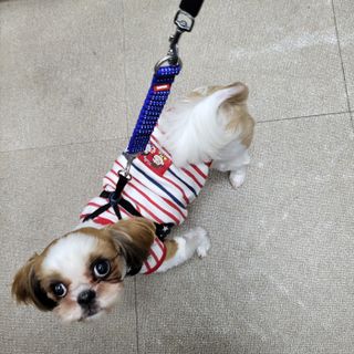 튤립님이 올린 리뷰 사진 1
