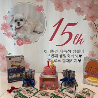 아루몽님이 올린 리뷰 사진 4