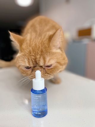 딸기우유님이 올린 리뷰 사진 3