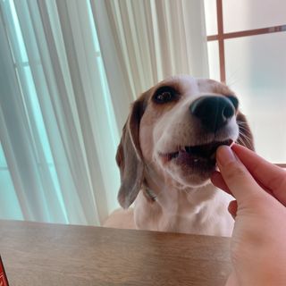 콩비지맘님이 올린 리뷰 사진 2