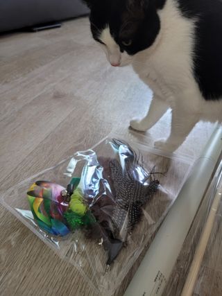 홍시님이 올린 리뷰 사진 3
