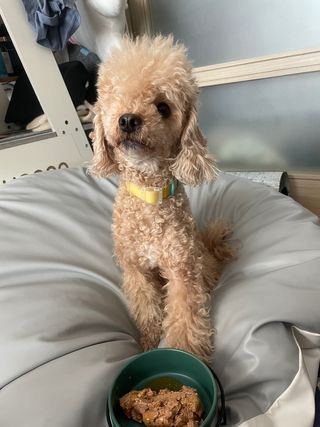 언니의호기심님이 올린 리뷰 사진 1