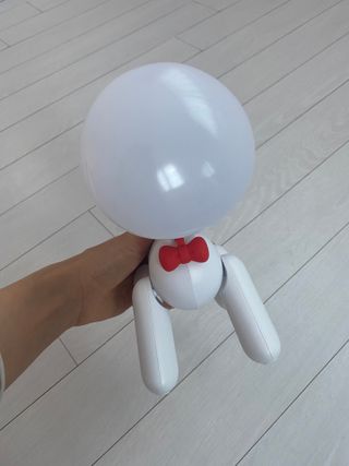 한지님이 올린 리뷰 사진 4