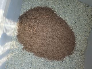 poochi님이 올린 리뷰 사진 2