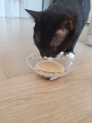 오둥이맘님이 올린 리뷰 사진 2
