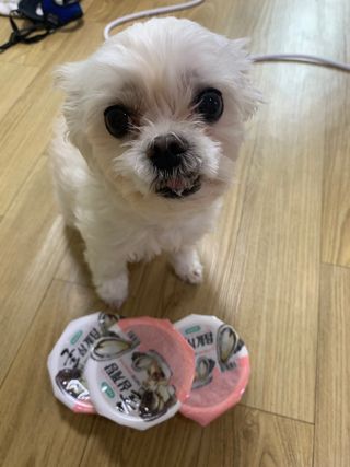bibi1517님이 올린 리뷰 사진 4