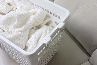 송이님이 올린 리뷰 사진 3