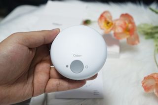 곱창전골님이 올린 리뷰 사진 1