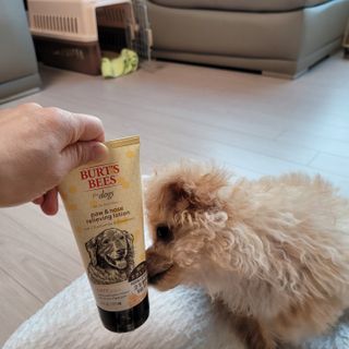 퐁퐁이님이 올린 리뷰 사진 3