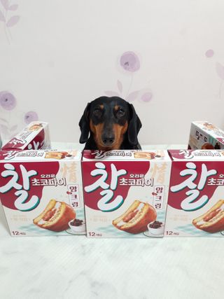 히이잇님이 올린 리뷰 사진 1