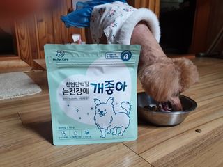 My Pet Care 천연단백질 눈건강에 개좋아 — 5점을 준 리뷰어가 2021년 4월 올린 사용 사진