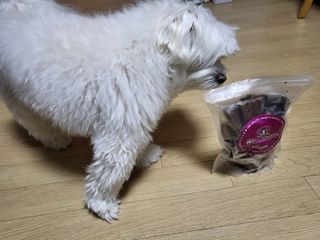 Zenithhappy님이 올린 리뷰 사진 1