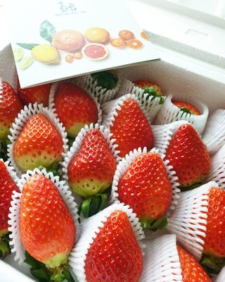 옳음 딸기 논산 설향 딸기 900g 산지직송 — 5점을 준 리뷰어가 2021년 1월 올린 사용 사진