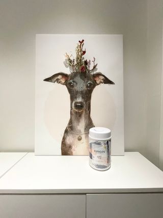 marcaunt님이 올린 리뷰 사진 3