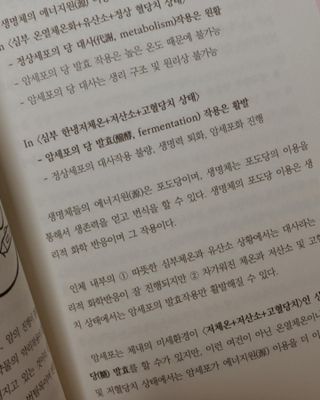 온열체온화요법 온열체온화 요법(Thermotherapy for Anti-Cancer) — 5점을 준 리뷰어가 2022년 9월 올린 사용 사진