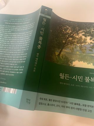 샬페이님이 올린 리뷰 사진 2