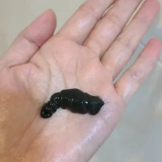 거니님이 올린 리뷰 사진 3