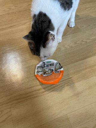 dchan0님이 올린 리뷰 사진 2