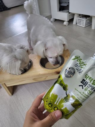 고롸고롸고롸님이 올린 리뷰 사진 2