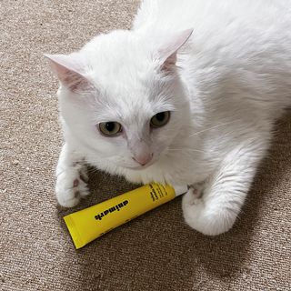 ㄹ진님이 올린 리뷰 사진 1